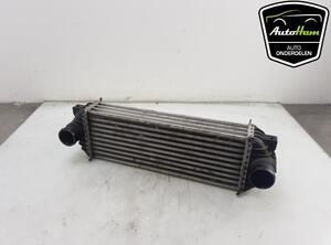 Intercooler FORD TRANSIT CUSTOM V362 Van (FY, FZ), FORD TRANSIT CONNECT (P65_, P70_, P80_)