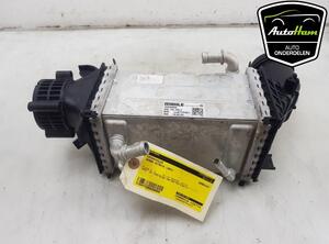 Intercooler SKODA KODIAQ (NS7, NV7, NS6), SEAT LEON (KL1), SKODA OCTAVIA IV Combi (NX5), VW GOLF VIII (CD1)