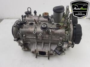 Cylinder Head VW POLO (AW1, BZ1)