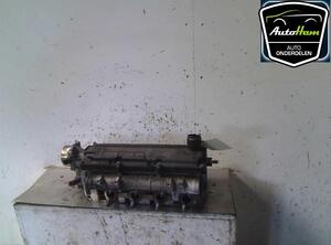 Cylinder Head RENAULT MEGANE II (BM0/1_, CM0/1_)