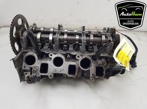 Cylinder Head AUDI Q5 (8RB), AUDI Q5 Van (8RB)