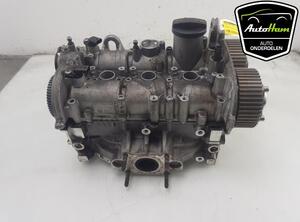 Cylinder Head VW POLO (AW1, BZ1)