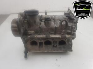 Cylinder Head VW POLO (6R1, 6C1)