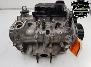 Cylinder Head AUDI A3 Sportback (8YA), SEAT IBIZA V (KJ1, KJG)