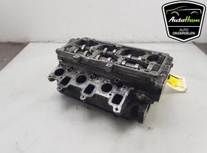 Cylinder Head SEAT IBIZA IV ST (6J8, 6P8)