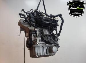 Bare Engine SKODA RAPID (NH3, NK3, NK6)