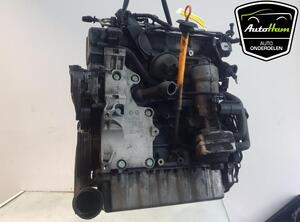 Motor kaal VW GOLF V (1K1), VW CADDY III Box Body/MPV (2KA, 2KH, 2CA, 2CH), VW TOURAN (1T1, 1T2)