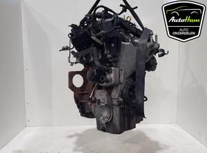 Bare Engine FORD FIESTA VI (CB1, CCN)