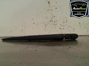 Wiper Arm RENAULT TWINGO II (CN0_)