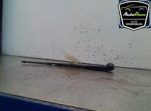 Wiper Arm AUDI A3 (8L1)