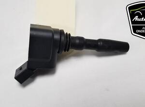 Ignition Coil VW POLO (6R1, 6C1)