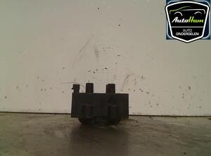 Ignition Coil RENAULT TWINGO II (CN0_), RENAULT CLIO III (BR0/1, CR0/1), RENAULT CLIO II (BB_, CB_)