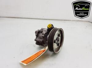 Power steering pump FIAT DOBLO Cargo (263_), OPEL COMBO Box Body/MPV (X12)