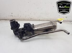 Koeler voor EGR SKODA FABIA II (542), VW POLO (6R1, 6C1), VW POLO Van (6R), SEAT IBIZA IV (6J5, 6P1)