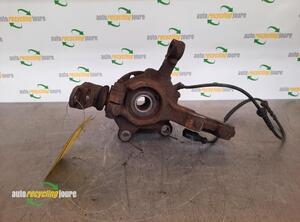 Stub Axle RENAULT Twingo II (CN0)