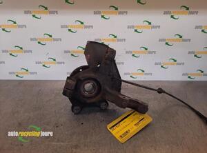 Stub Axle RENAULT Twingo II (CN0)