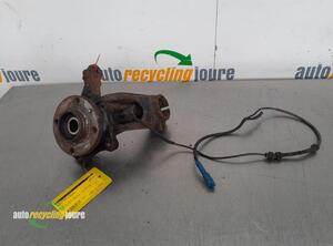 Stub Axle PEUGEOT 207 SW (WK_), PEUGEOT 207 (WA_, WC_)