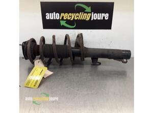 Suspension Strut FORD Transit Connect (P65, P70, P80)