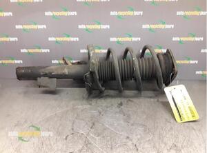 Suspension Strut FORD Focus C-Max (--), FORD C-Max (DM2), FORD Kuga I (--), FORD Kuga II (DM2)