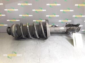 Suspension Strut FIAT Grande Punto (199), FIAT Punto (199), FIAT Punto Evo (199)