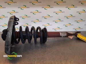 Suspension Strut AUDI A4 Avant (8E5, B6), AUDI A4 Avant (8ED, B7)