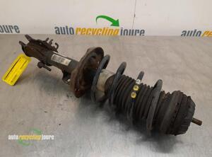 Suspension Strut FIAT Grande Punto (199), FIAT Punto (199), FIAT Punto Evo (199)