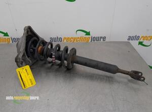 Suspension Strut AUDI A6 (4F2, C6)