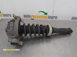 Suspension Strut VW Touareg (7L6, 7L7, 7LA)