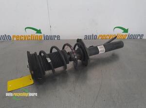 Suspension Strut AUDI A3 (8V1, 8VK)