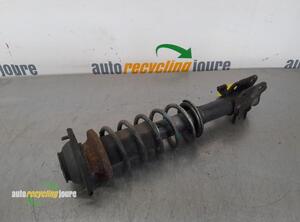 Suspension Strut SUZUKI ALTO (FF)