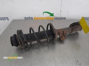 Suspension Strut SUZUKI ALTO (GF)