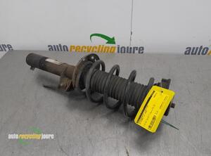 Suspension Strut VW TOURAN (1T1, 1T2), VW TOURAN (1T3)