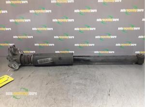 Shock Absorber FIAT Grande Punto (199), FIAT Punto (199), FIAT Punto Evo (199)