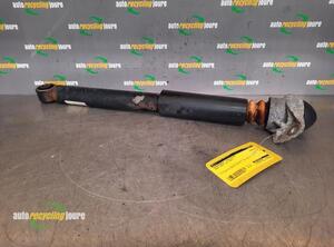 Shock Absorber SEAT Leon (1P1)