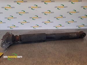 Shock Absorber VW Golf V (1K1), VW Golf VI (5K1)