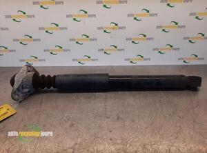 Shock Absorber VW Golf V (1K1), VW Golf VI (5K1)