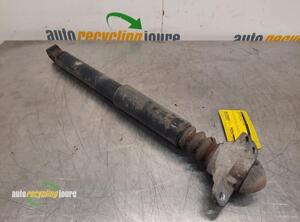 Shock Absorber AUDI A3 (8P1), AUDI A3 Sportback (8PA)