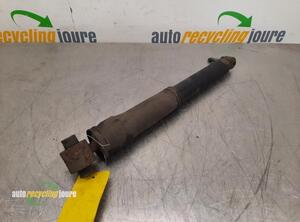 Shock Absorber RENAULT Megane III Grandtour (KZ0/1)