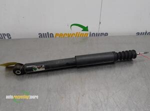 Shock Absorber RENAULT Clio III Grandtour (KR0/1)