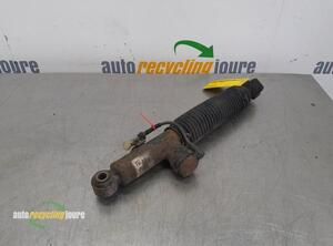 Shock Absorber OPEL SIGNUM Hatchback (Z03)