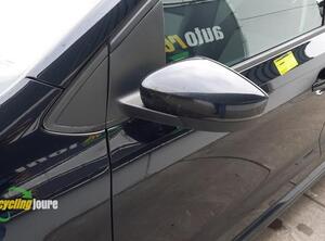 Wing (Door) Mirror VW POLO (6R1, 6C1), VW POLO Van (6R)