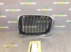 Radiateurgrille BMW 3er Compact (E46)