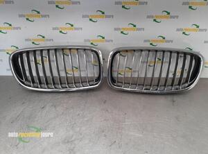 Radiateurgrille BMW 6 Convertible (E64), BMW 6 (E63)