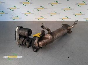 EGR Valve PEUGEOT BOXER Van, OPEL MOVANO C Van (U9)