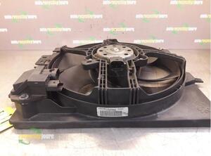 Radiator Electric Fan  Motor PEUGEOT 207 (WA, WC)