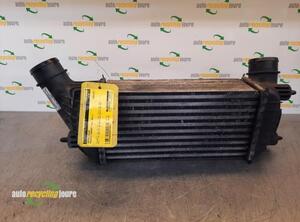 Intercooler PEUGEOT EXPERT Van (VF3A_, VF3U_, VF3X_), PEUGEOT EXPERT Platform/Chassis