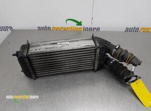 Intercooler CITROËN DS3, CITROËN C3 II (SC_)