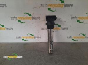 Ignition Coil SKODA FABIA II Combi (545)