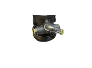 Power steering pump FIAT DOBLO Cargo (263_), FIAT DOBLO MPV (263_), FIAT DOBLO Platform/Chassis (263_)