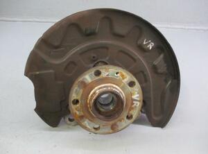 Stub Axle VW Golf Sportsvan (AM1, AN1)